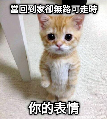 當回到家卻無路可走時 你的表情