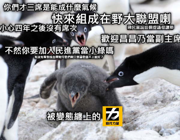 快來組成在野大聯盟喇 歡迎昌昌乃當副主席 你們才三席是能成什麼氣候 不然你要加入民進黨當小綠嗎 被變態纏上的 有沒有看到我怎麼對付他們啊只要讓他選不上就好了 國民黨說這個提議很讚耶 小心四年之後沒有席次