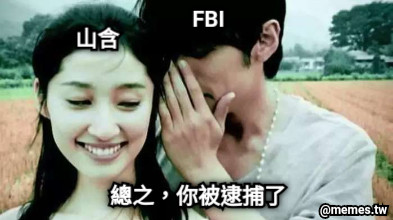 山含 FBI 總之，你被逮捕了