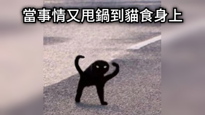 當事情又甩鍋到貓食身上