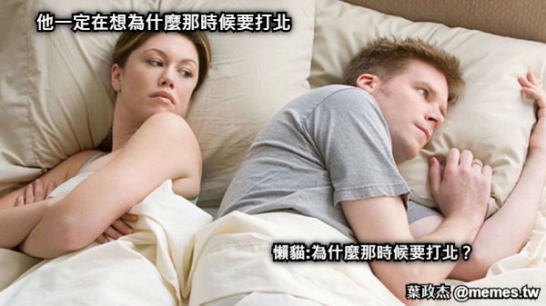 他一定在想為什麼那時候要打北 懶貓:為什麼那時候要打北？