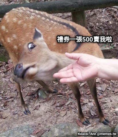 禮券一張500賣我啦