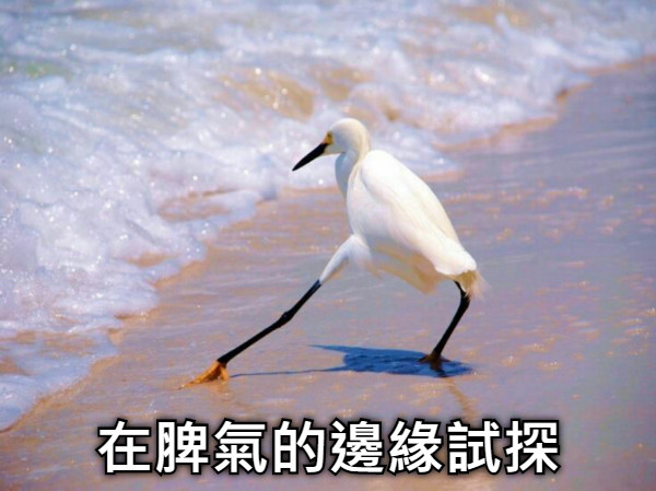 在脾氣的邊緣試探