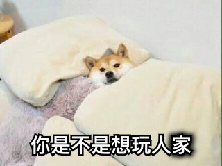 你是不是想玩人家