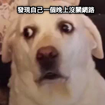 發現自己一個晚上沒關網路