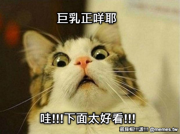 哇!!!下面太好看!!! 巨乳正咩耶