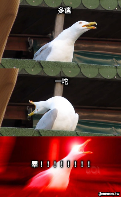 多瘟 一坨 睪！！！！！！！！