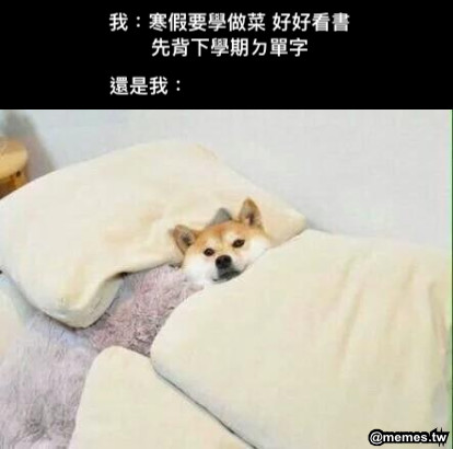 我：寒假要學做菜 好好看書 先背下學期ㄉ單字 還是我：