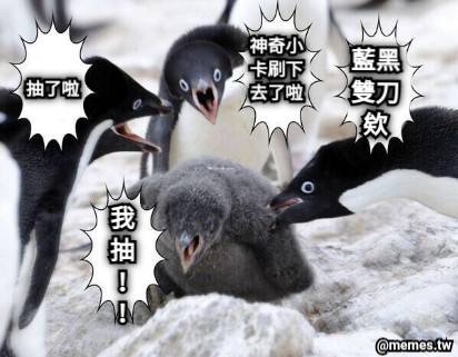 抽了啦 藍黑雙刀欸 神奇小卡刷下去了啦 我抽！！