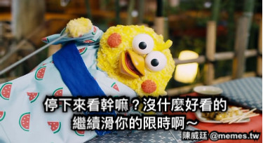 停下來看幹嘛？沒什麼好看的 繼續滑你的限時啊～