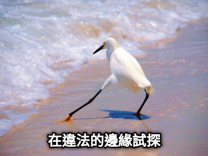 在違法的邊緣試探