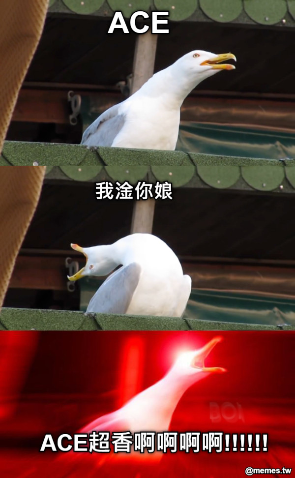 ACE 我淦你娘 ACE超香啊啊啊啊!!!!!!