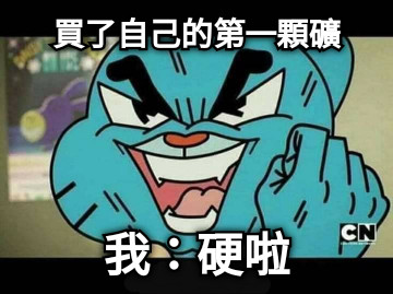 買了自己的第一顆礦 我：硬啦