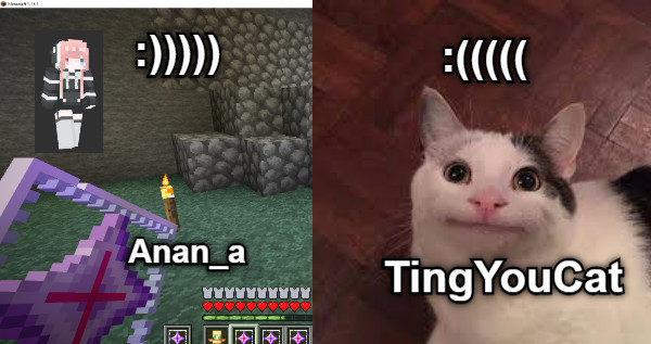 :))))) :((((( TingYouCat Anan_a