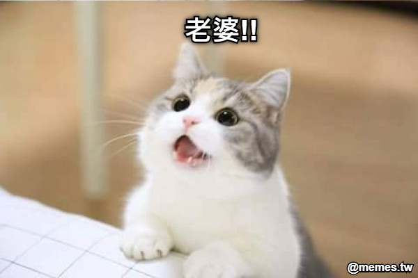 老婆!!