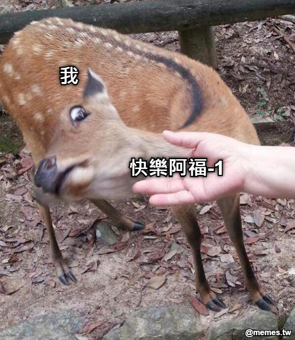 快樂阿福-1 我