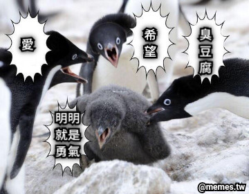 愛 希 望 臭 豆 腐 明明 就是 勇氣