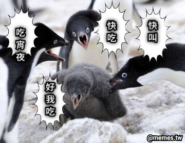 吃 宵 夜 快 吃 快 叫 好 我 吃