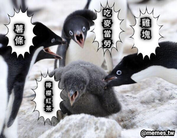 吃 麥 當 勞 薯 條 雞 塊 檸 檬 紅 茶