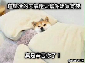 這麼冷的天氣還要幫你姐買宵夜 真是辛苦你了！