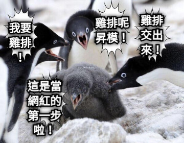 雞排呢昇模！ 雞排交出來！ 我要雞排！ 這是當網紅的第一步啦！