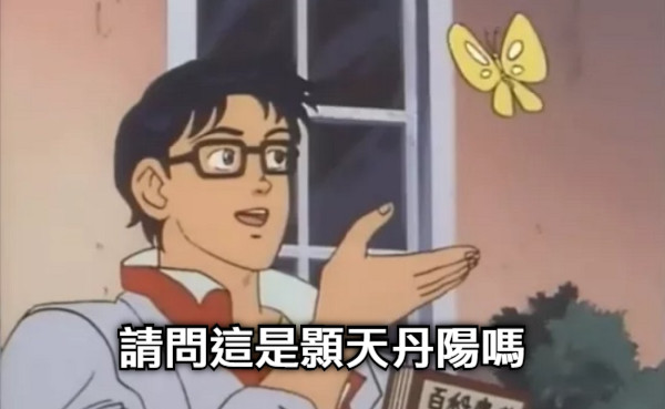 請問這是顥天丹陽嗎