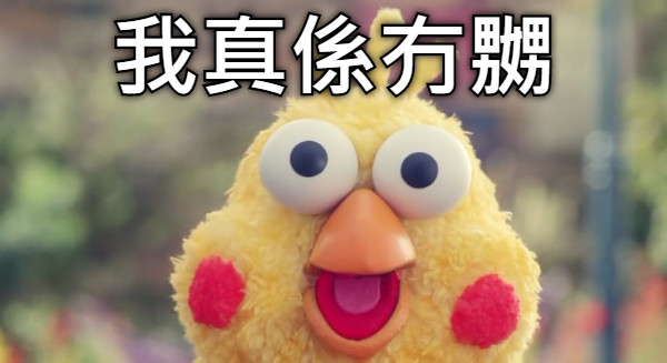 我真係冇嬲