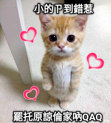 小的ㄗ到錯惹 罷托原諒倫家吶QAQ