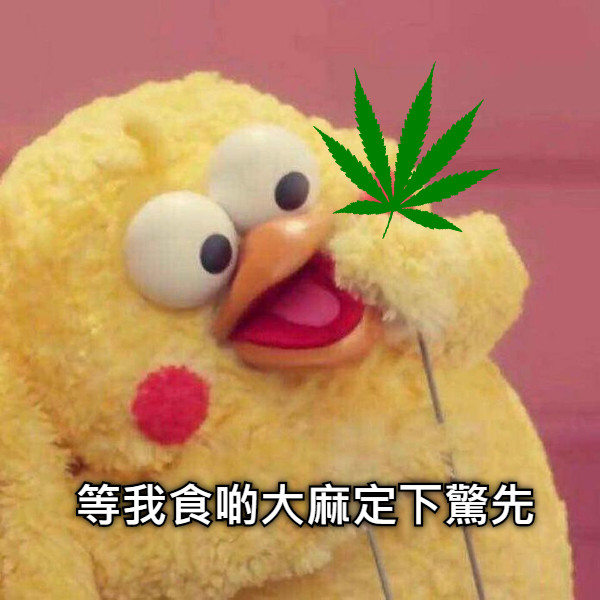 等我食啲大麻定下驚先