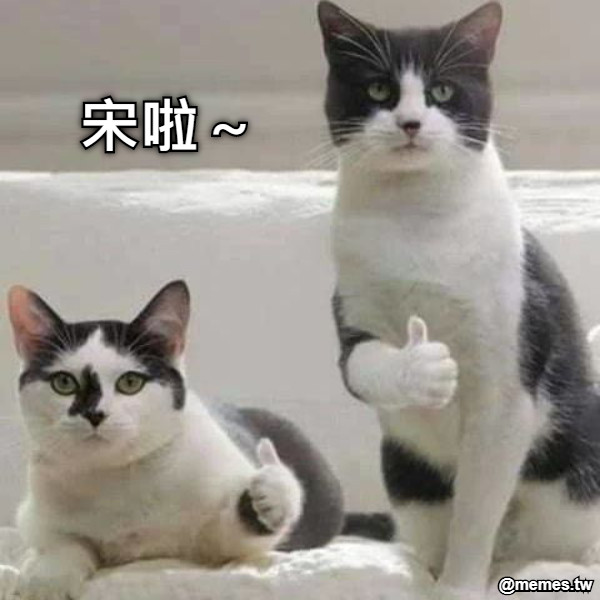 宋啦～