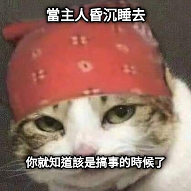 當主人昏沉睡去 你就知道該是搞事的時候了