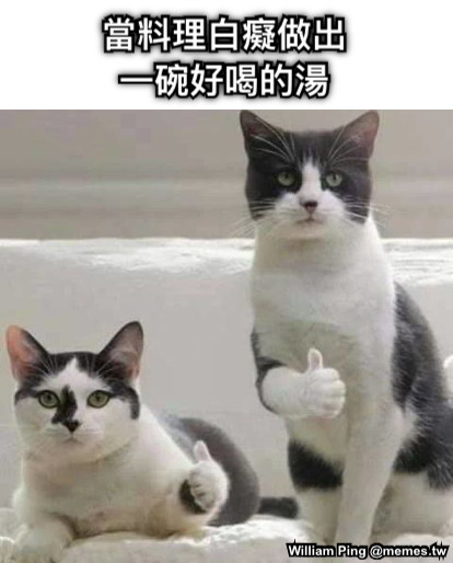 當料理白癡做出 一碗好喝的湯