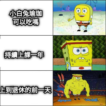 小白兔瑜珈可以吃嗎 持續上課一年 上到退休的前一天