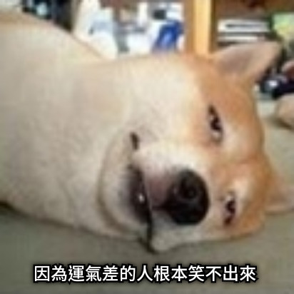 因為運氣差的人根本笑不出來