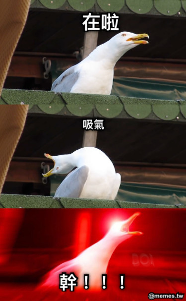 在啦 吸氣 幹！！！