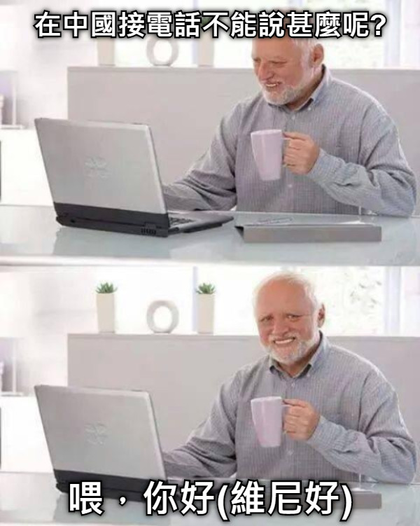 在中國接電話不能說甚麼呢? 喂，你好(維尼好)