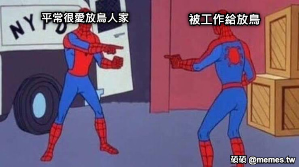 平常很愛放鳥人家 被工作給放鳥