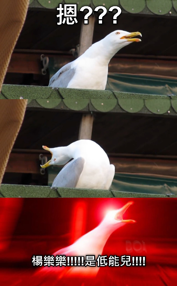 摁??? 楊樂樂!!!!!是低能兒!!!!