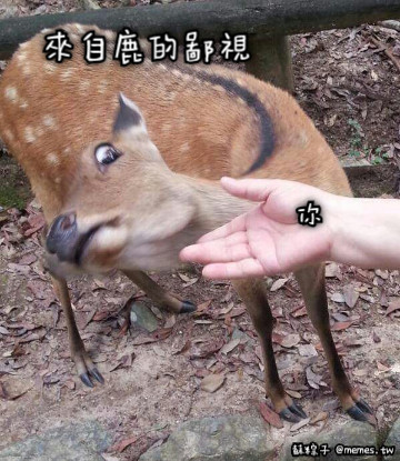 來自鹿的鄙視 你