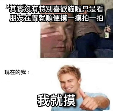 其實沒有特別喜歡貓啦只是看朋友在養就順便摸一摸拍一拍 我就摸