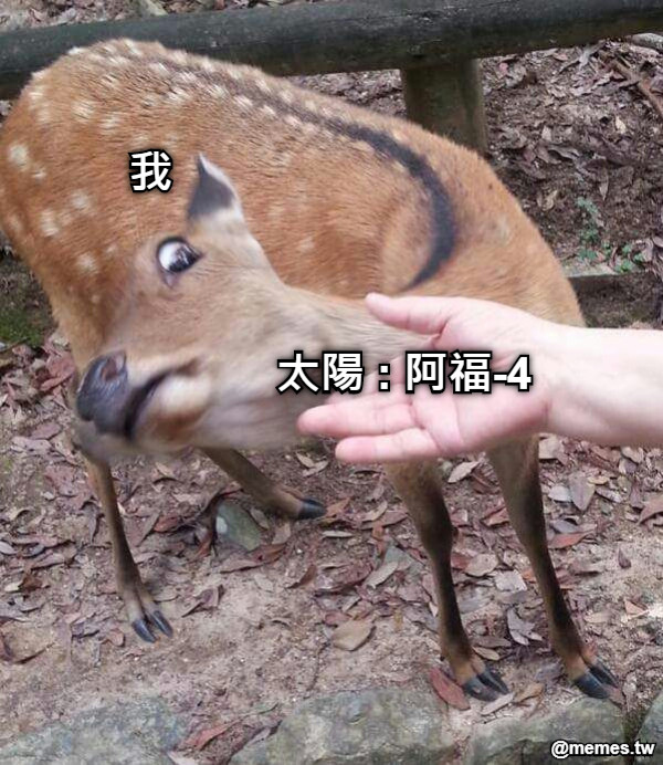 太陽 : 阿福-4 我