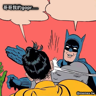 哥哥我的gopr.....