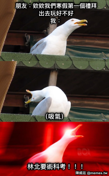 朋友：欸欸我們寒假第一個禮拜出去玩好不好 我： 林北要術科考！！！ （吸氣）