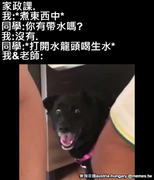 家政課. 我:*煮東西中* 同學:你有帶水嗎? 我:沒有. 同學:*打開水龍頭喝生水* 我&amp;老師: