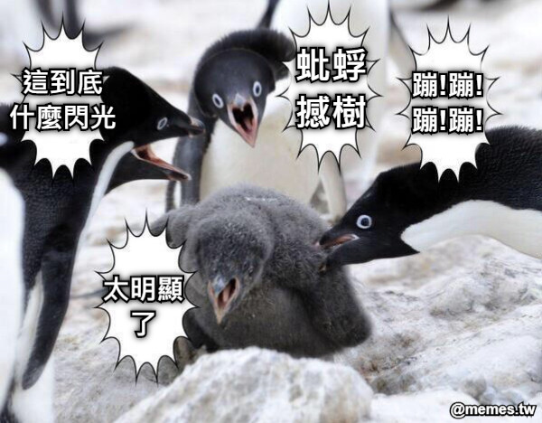 這到底 什麼閃光 蚍蜉 撼樹 蹦!蹦! 蹦!蹦! 太明顯 了