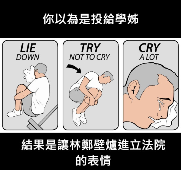 你以為是投給學姊 結果是讓林鄭壁爐進立法院 的表情