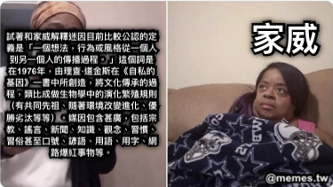 試著和家威解釋迷因目前比較公認的定義是「一個想法，行為或風格從一個人到另一個人的傳播過程。 」這個詞是在1976年，由理查·道金斯在《自私的基因》一書中所創造，將文化傳承的過程，類比成做生物學中的演化繁殖規則（有共同先祖、隨著環境改變進化、優勝劣汰等等）。媒因包含甚廣，包括宗教、謠言、新聞、知識、觀念、習慣、習俗甚至口號、諺語、用語、用字、網路爆紅事物等。 家威