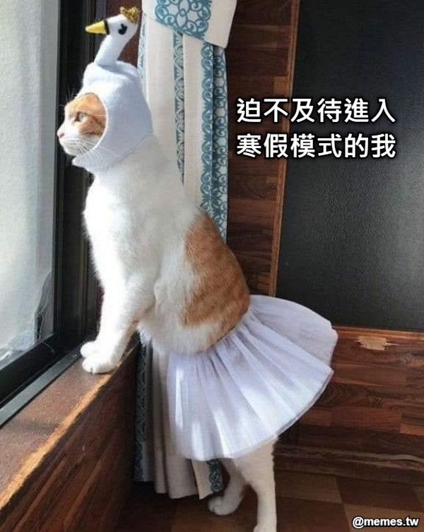 迫不及待進入寒假模式的我
