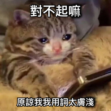 對不起嘛 原諒我我用詞太膚淺