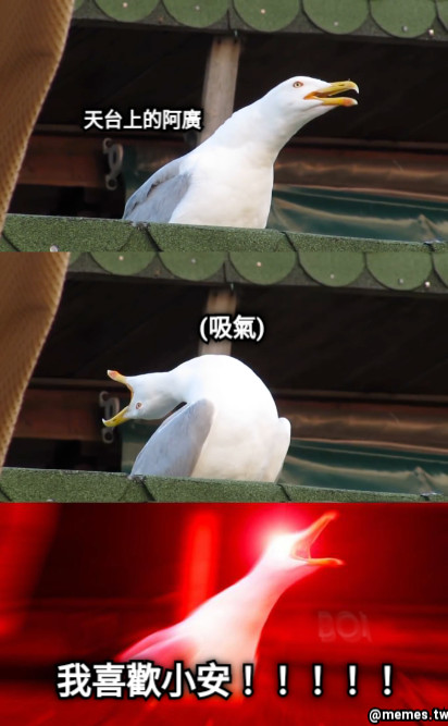我喜歡小安！！！！！ (吸氣) 天台上的阿廣